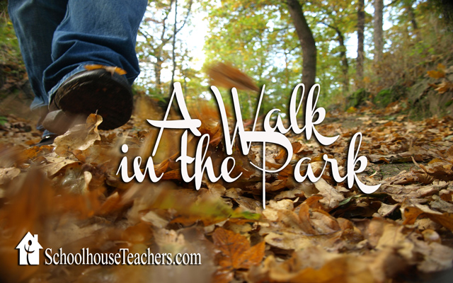 blog-walk-in-the-park
