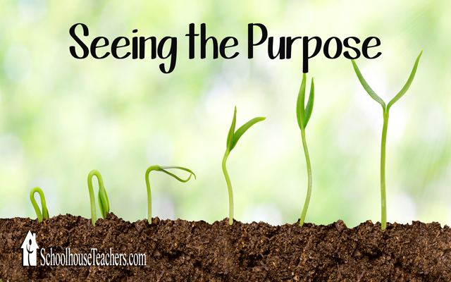 blog-seeing-the-purpose
