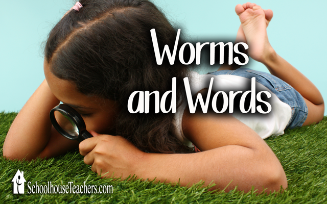 blog-worms-and-words