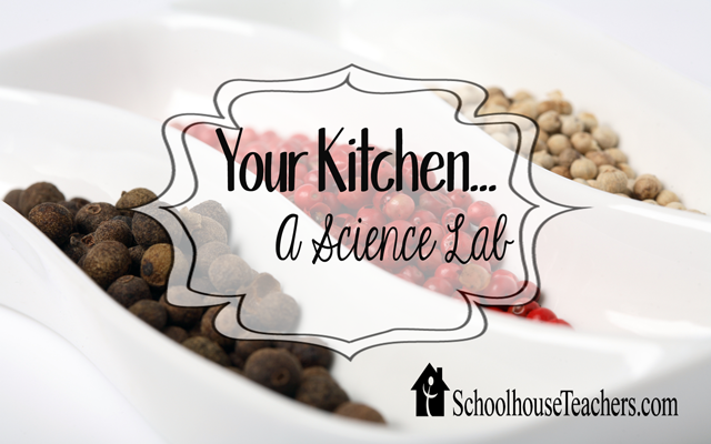 blog-your-kitchen