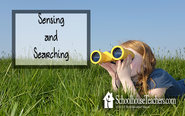 blog sensing and searching