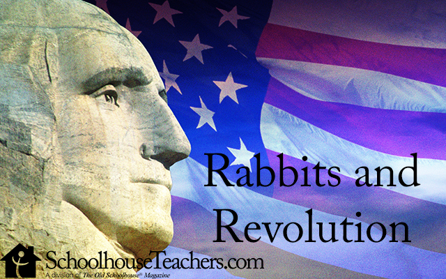 rabbitsandrevolution