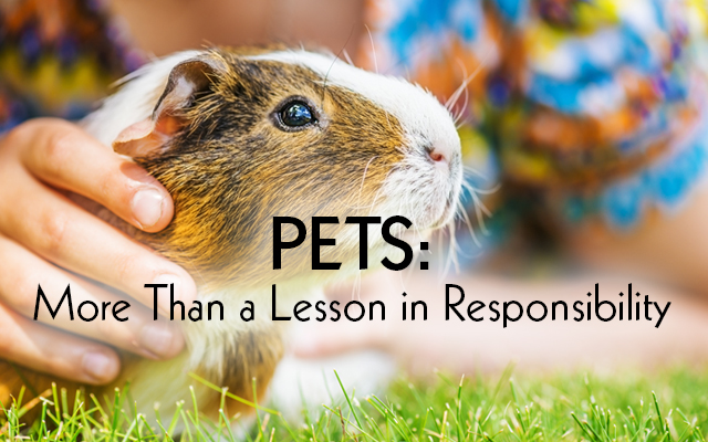 pets can teach children more lessons than responsibility