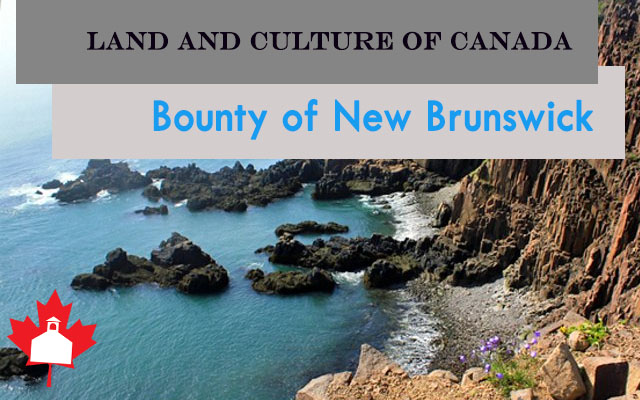 Bounty of New Brunswick