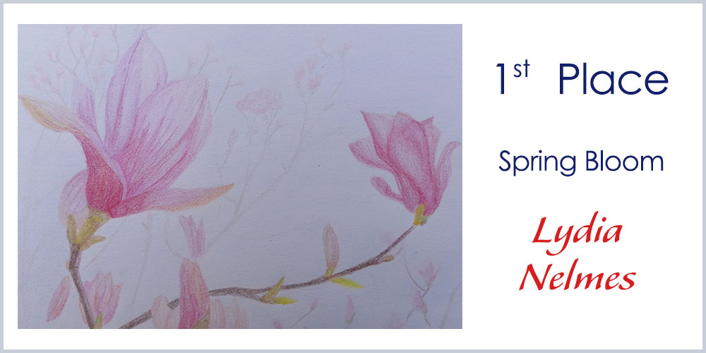 First place winner - Drawing & Painting - Spring Bloom by Lydia Nelmes