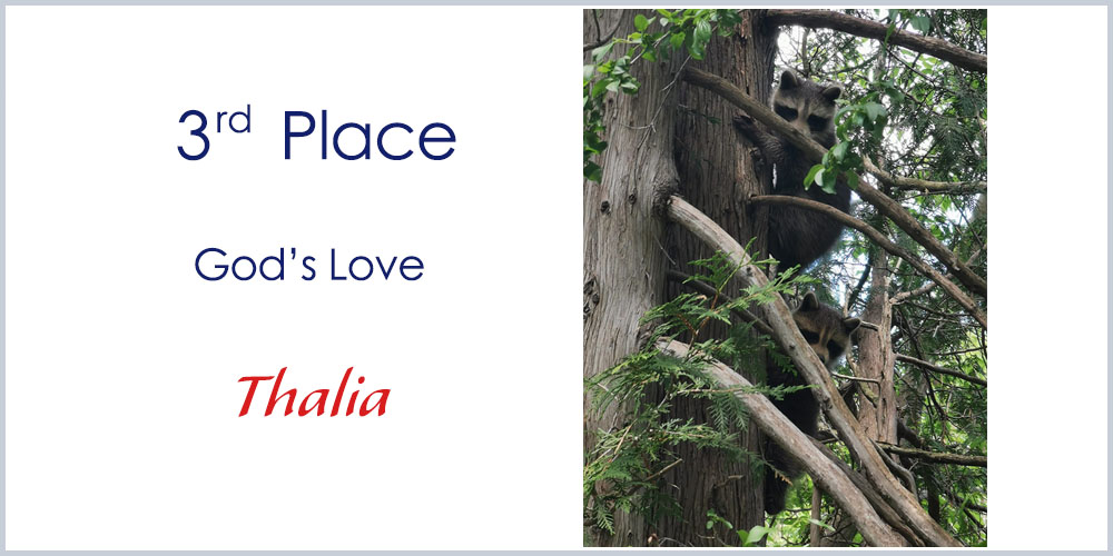 3rd Place winner 7-10 years old photography God's Love by Thalia