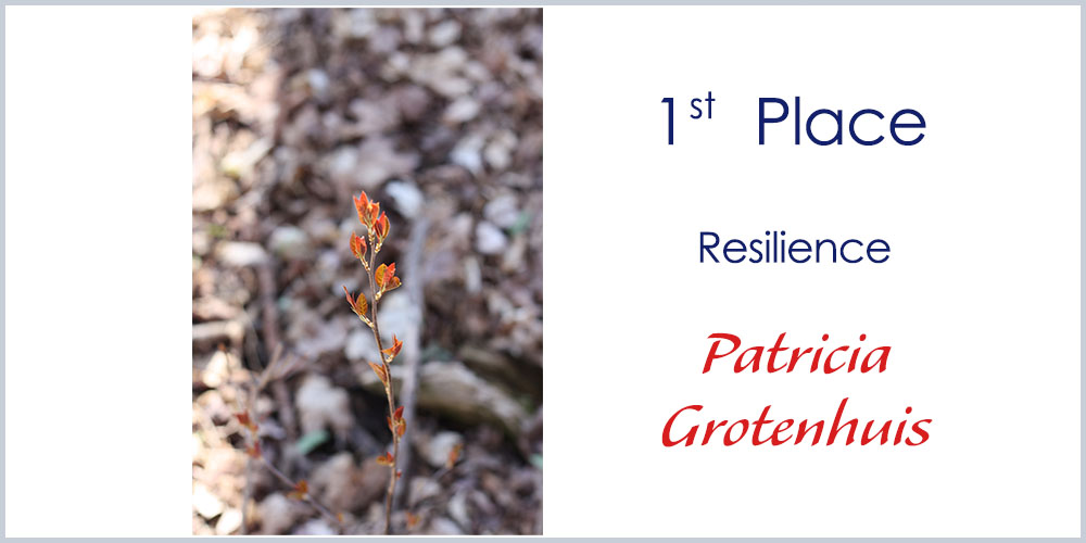First place winner - parent Photography - Resilience by Patricia Grotenhuis