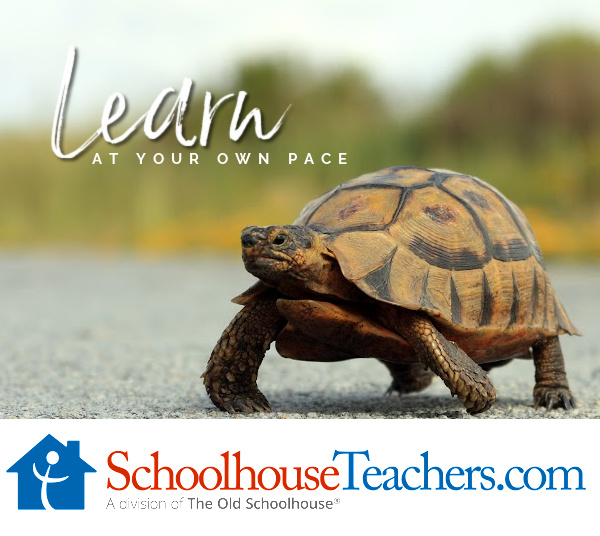 A turtle crossing a roadway and the words Learn and Your Own Pace